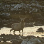 The Isle of Lewis